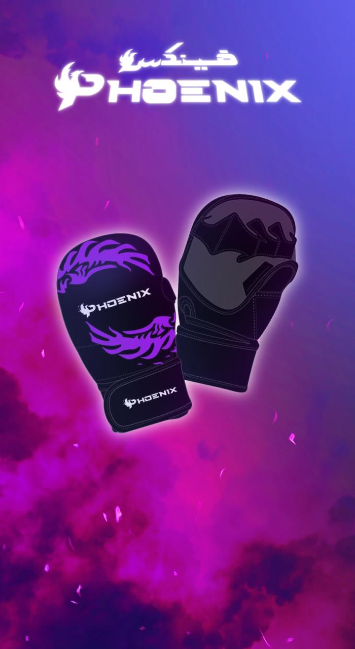 MMA Gloves قفاز ام ام اي