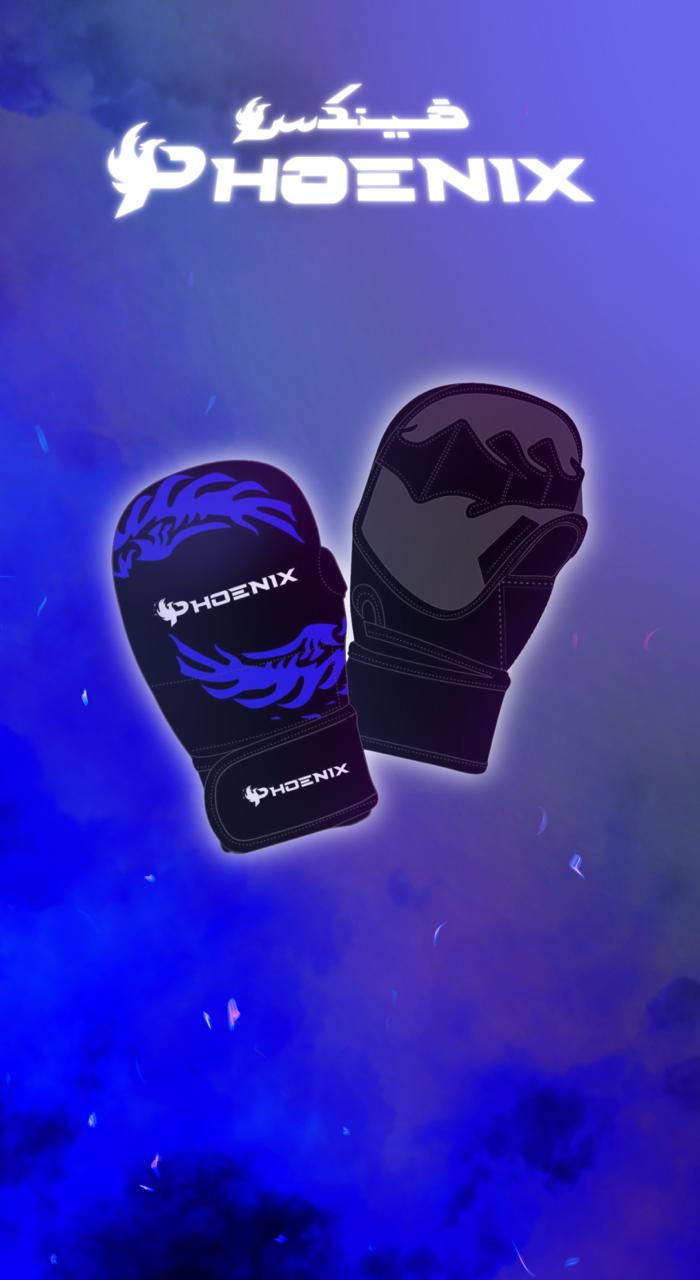 MMA Gloves قفاز ام ام اي