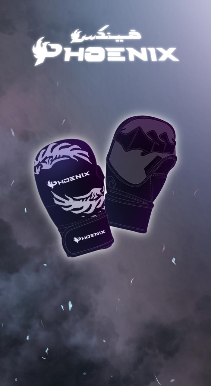 MMA Gloves قفاز ام ام اي